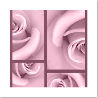 Pink Rose and Purple lines design Posters and Art